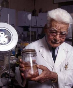 Luigi metodo di bella impariamo a conoscerlo e1360428730412 Luigi metodo di bella impariamo a conoscerlo e1360428730412